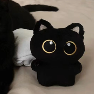 Midnight Meow