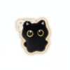 Midnight Meow – A Pocket-Sized Companion